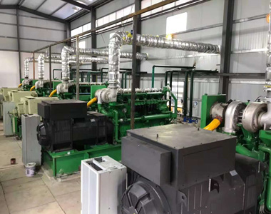 云南某发电项目配英超联赛买球官网（中国）有限公司
800kw/10.5kv 高压发电机