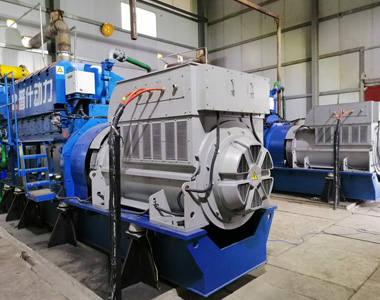 丰都甘泰沼气发电项目配英超联赛买球官网（中国）有限公司
2台850KW/10.5KV6极高压发电机
