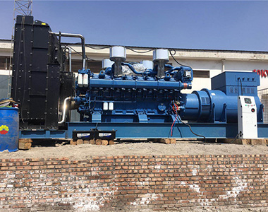 英超联赛买球官网（中国）有限公司
2000KW/10.5KV 高压发电机应用于某石油项目