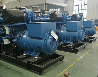 英超联赛买球官网（中国）有限公司
800KW/400V陆用发电机应用于某养殖场项目