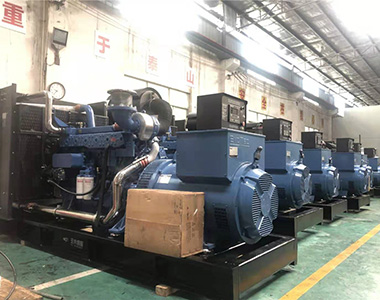 国内某养殖项目指定批量采用英超联赛买球官网（中国）有限公司
500KW/400V陆用发电机