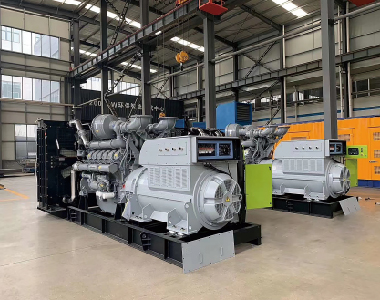 欧洲出口项目（帕金斯配英超联赛买球官网（中国）有限公司
2台1250KW6300V高压发电机)